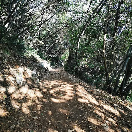 Apartment My Dream *