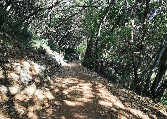 Apartment My Dream *